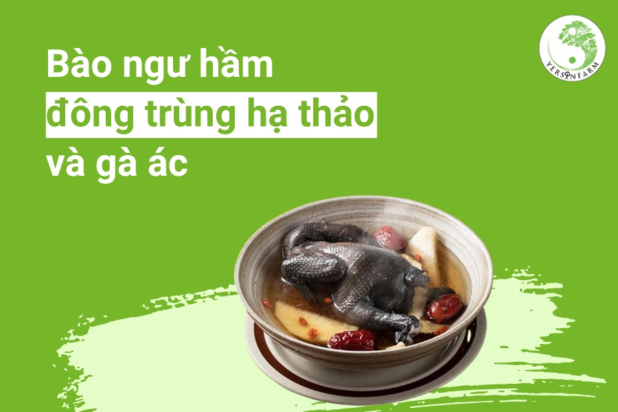 Công thức chế biến món bào ngư hầm đông trùng hạ thảo với gà ác
