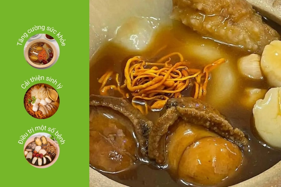 Công dụng của bào ngư hầm đông trùng hạ thảo