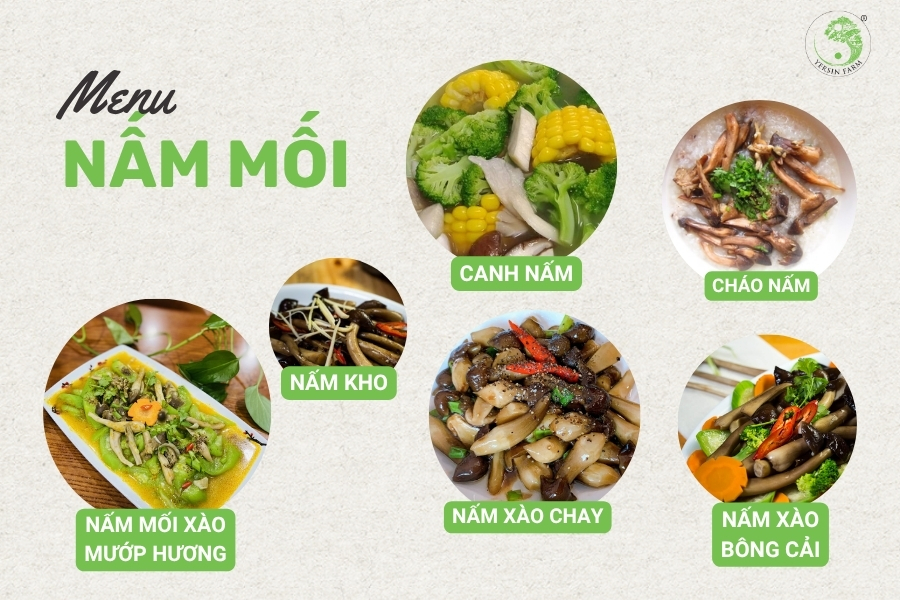 Các món ăn được chế biến từ nấm mối đen Các món ăn được chế biến từ nấm mối đen