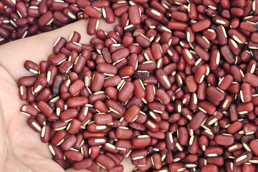 Tác dụng của xích tiểu đậu đối với sức khỏe