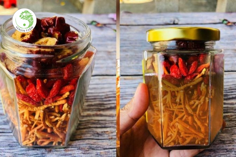 Cách ngâm và sử dụng rượu đông trùng hạ thảo Cách ngâm và sử dụng rượu đông trùng hạ thảo