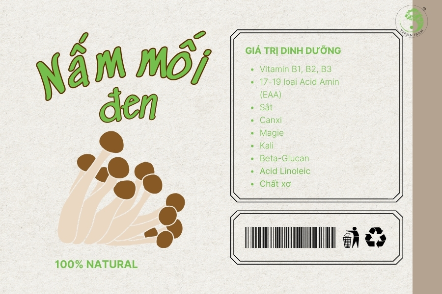Giá trị dinh dưỡng trong nấm mối đen sấy khô Giá trị dinh dưỡng trong nấm mối đen sấy khô