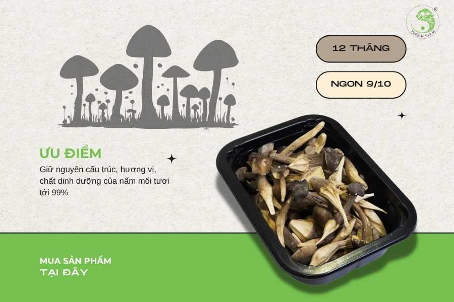 Ưu điểm của nấm mối sấy thăng hoa Ưu điểm của nấm mối sấy thăng hoa