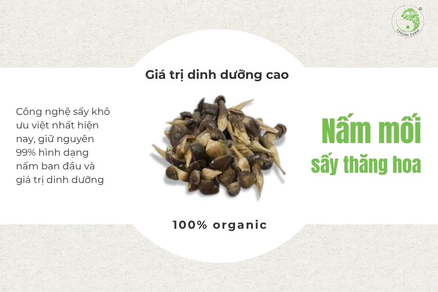 Nấm mối sấy thăng hoa là gì? Nấm mối sấy thăng hoa là gì?