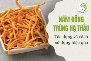 Nấm đông trùng hạ thảo