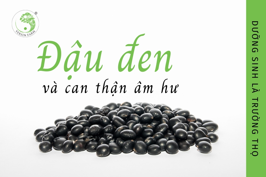 Phụ nữ, can thận và bài học từ đậu đen