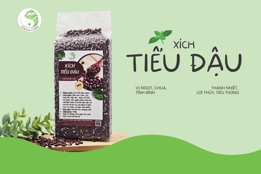 Xích tiểu đậu: Thực phẩm dưỡng sinh và vị thuốc quý trong Đông y