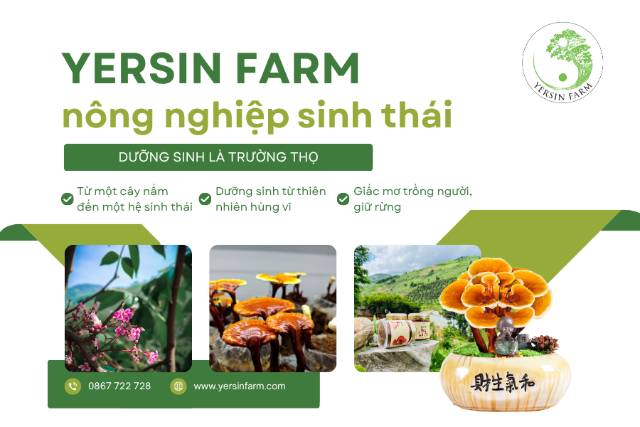 Yersin Farm profile