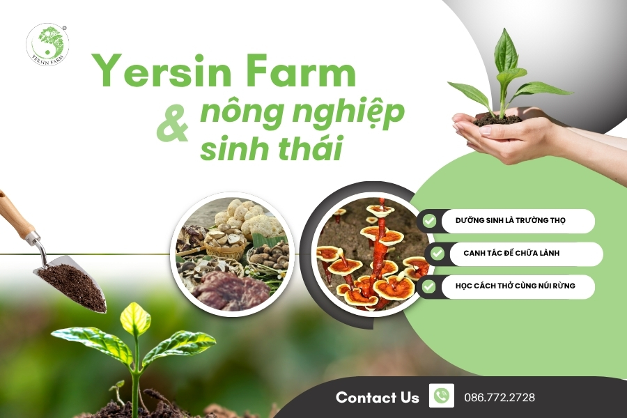 Yersin Farm và câu chuyện làm nông nghiệp sinh thái